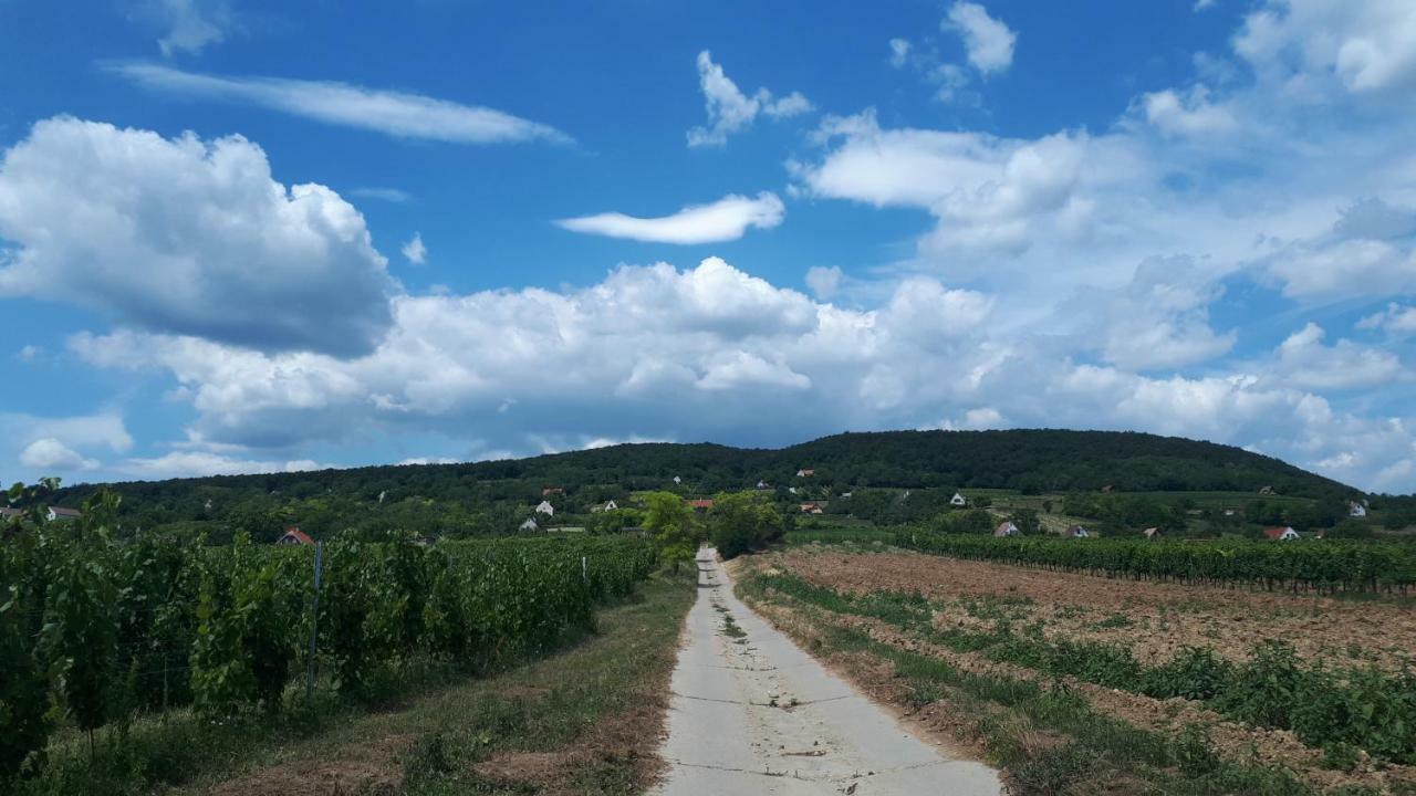 Kali 120 Villa Tagyon Buitenkant foto
